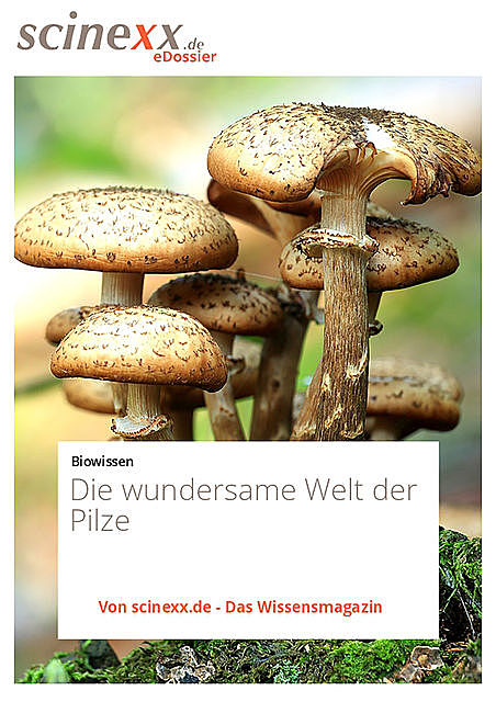 Die wundersame Welt der Pilze, Nadja Podbregar