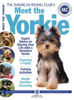 Meet the Yorkie, The American Kennel Club