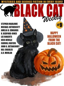 Black Cat Weekly #9, Wildside Press