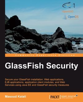 GlassFish Security, Masoud Kalali