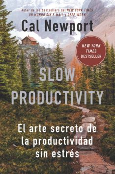 Slow Productivity, Cal Newport