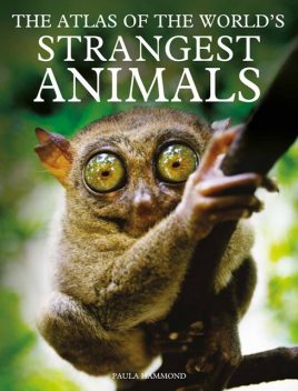The Atlas of The World’s Strangest Animals, Paula Hammond