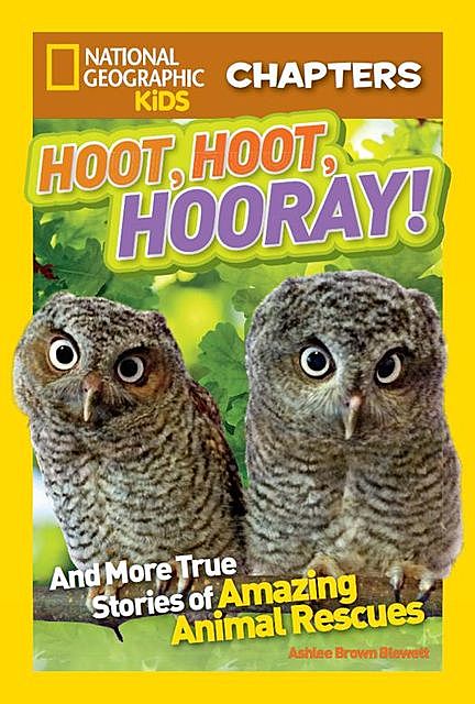 National Geographic Kids Chapters: Hoot, Hoot, Hooray, National Geographic Kids, Ashlee Brown Blewett