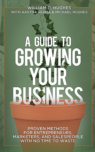 A Guide to Growing Your Business, William Hughes, Michael Hughes, Aastha Verma