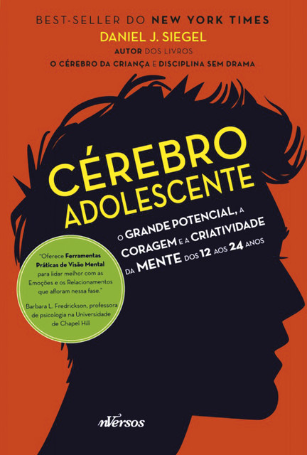 Cérebro do Adolescente, Daniel Siegel