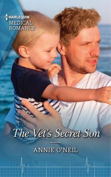 The Vet's Secret Son, Annie O'Neil