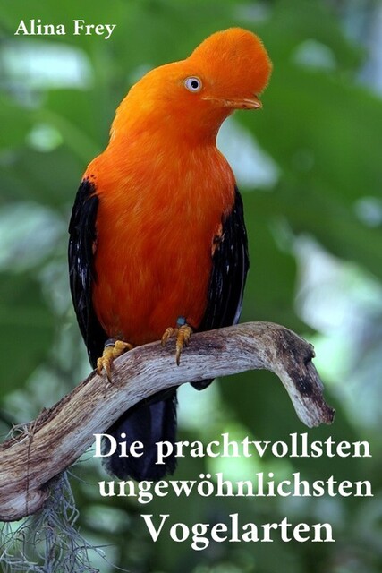 Die prachvollsten ungewöhnlichsten Vogelarten, Alina Frey