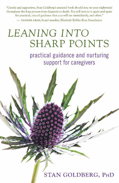 Leaning into Sharp Points, Stan Goldberg