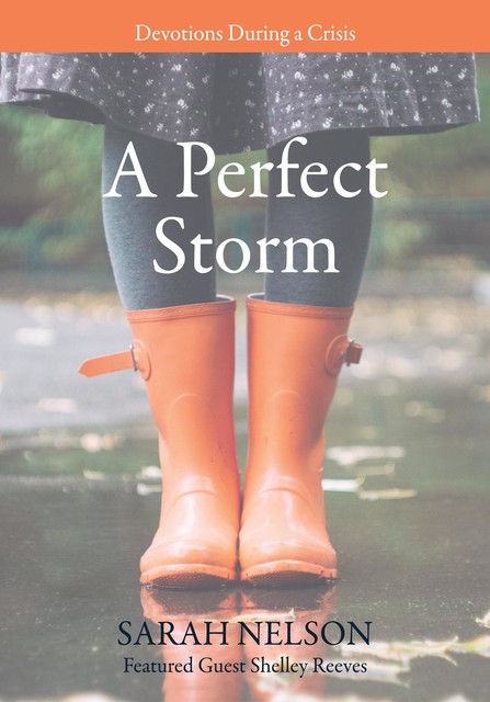 A Perfect Storm, Sarah Nelson