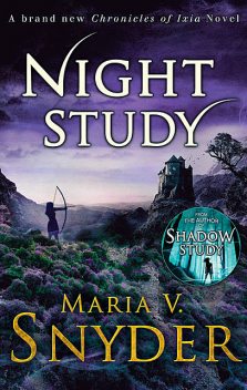 Night Study, Maria Snyder