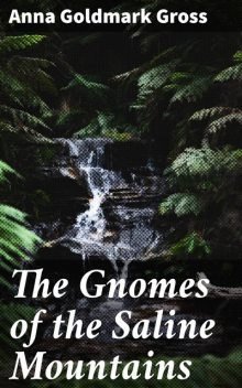 The Gnomes of the Saline Mountains: A Fantastic Narrative, Anna Goldmark Gross