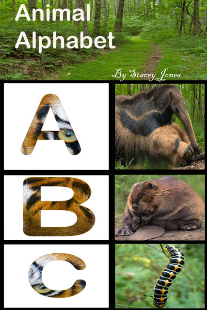 Animal Alphabet, Stacy Jones