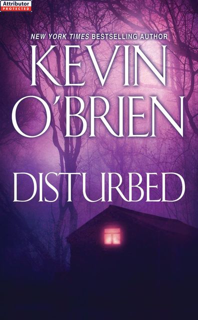 Disturbed, Kevin O'Brien
