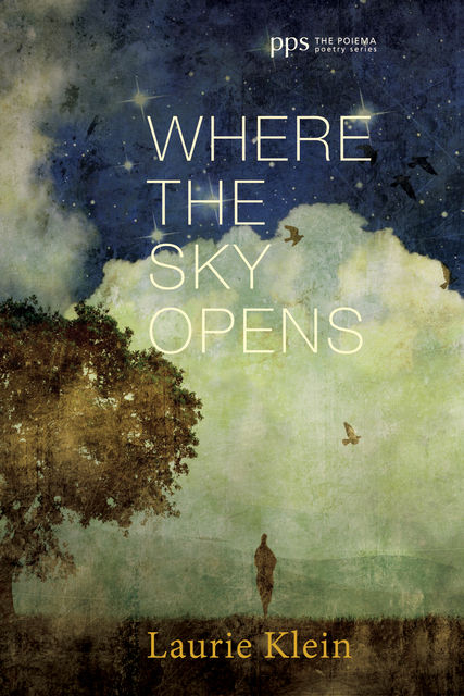 Where the Sky Opens, Laurie Klein