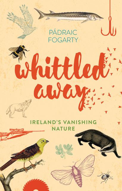 Whittled Away: Ireland's Vanishing Nature, Pádraic Fogarty
