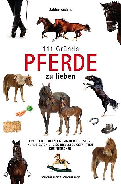 111 Gründe, Pferde zu lieben, Sabine Anders