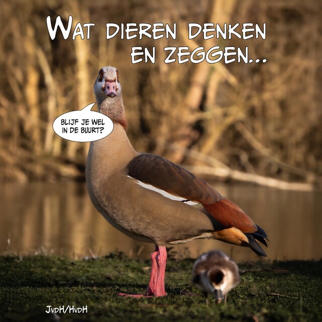 Wat dieren denken en zeggen, Haye van der Heyden, Jesse Van der Heyden