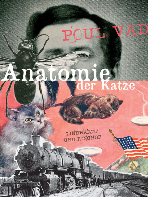 Anatomie der Katze, Poul Vad
