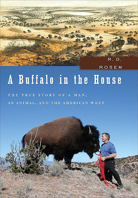 A Buffalo in the House, R.D.Rosen