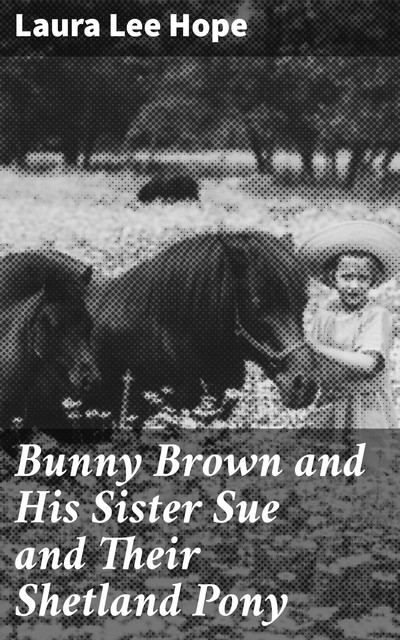 Bunny Brown and His Sister Sue and Their Shetland Pony, Laura Lee Hope