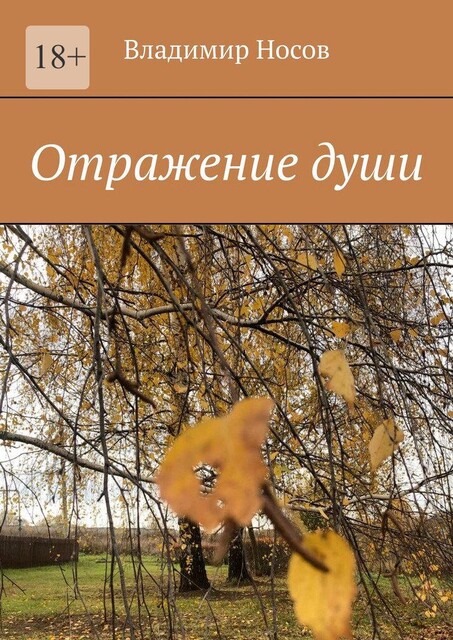 Отражение души, Владимир Носов