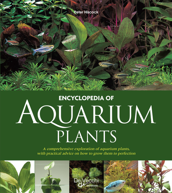 Encyclopedia of aquarium plants, Peter Hiscock