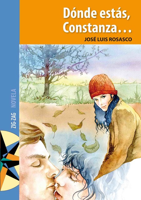 Dónde estás, Constanza, José Luis Rosasco