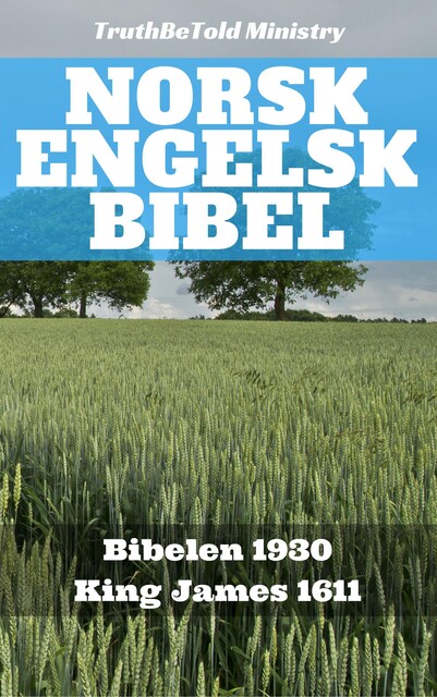 Norsk Engelsk Bibel No2, Joern Andre Halseth