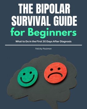 The Bipolar Survival Guide for Beginners, Felicity Paulman
