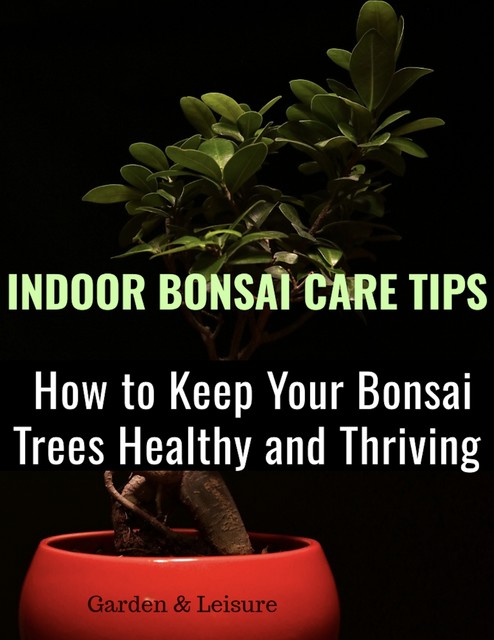 Indoor Bonsai Care Tips, amp, Garden, Leisure