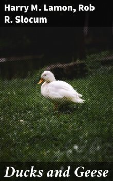 Ducks and Geese, Harry M.Lamon, Rob R. Slocum