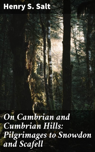 On Cambrian and Cumbrian Hills: Pilgrimages to Snowdon and Scafell, Henry S.Salt