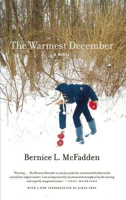 The Warmest December, Bernice L. McFadden