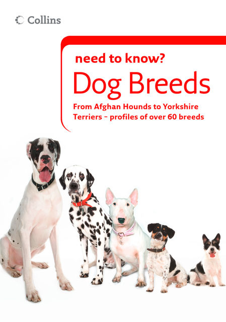 Dog Breeds (Collins Need to Know?), Robert Killick