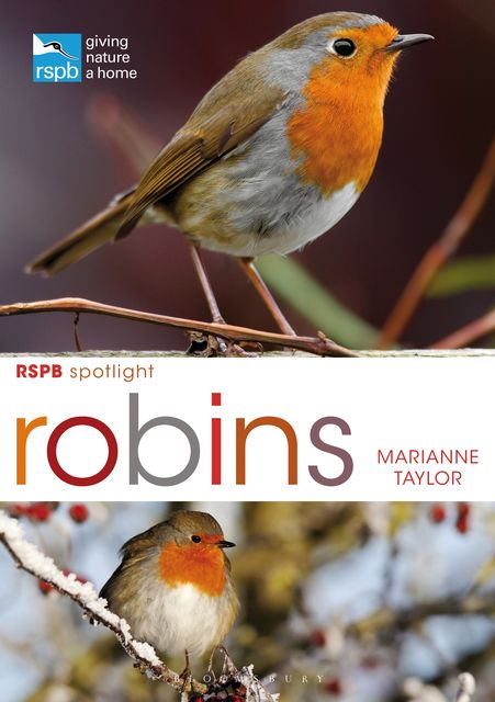 RSPB Spotlight: Robins, Marianne Taylor