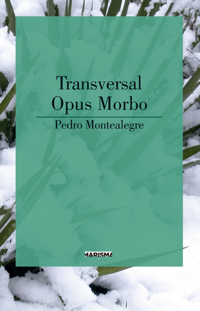 Transversal-Opus morbo, Pedro Montealegre