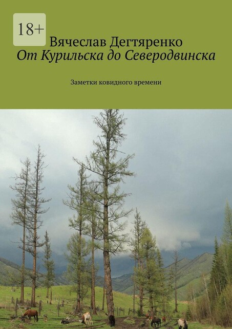 От Курильска до Северодвинска. Заметки ковидного времени, Вячеслав Дегтяренко