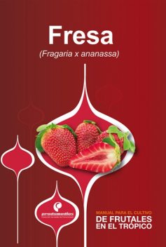 Manual para el cultivo de frutales en el trópico. Fresa, Wilson Piedrahíta, Rubén Ruiz