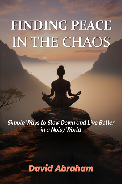 FINDING PEACE IN THE CHAOS, David Abraham