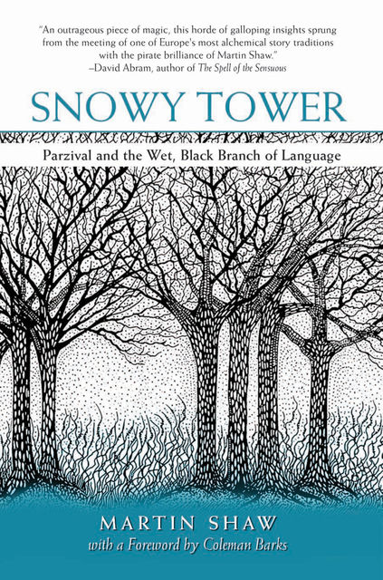 Snowy Tower, Martin Shaw