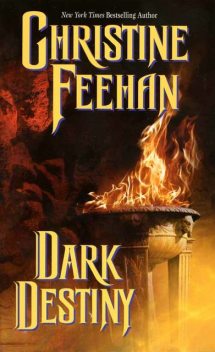Dark Destiny (Dark Series - book 13), Christine Feehan