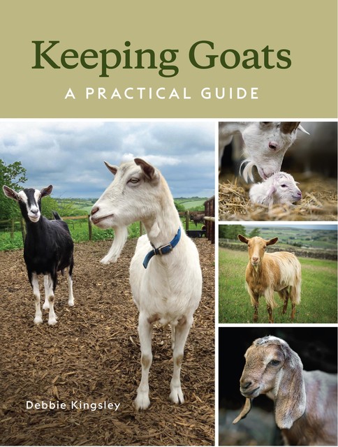 Keeping Goats, Debbie Kingsley