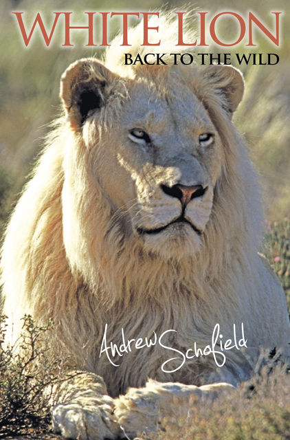 White Lion, Andrew Schofield