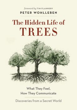 The Hidden Life of Trees, Peter Wohlleben