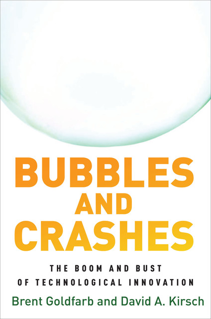 Bubbles and Crashes, Brent Goldfarb, David A. Kirsch