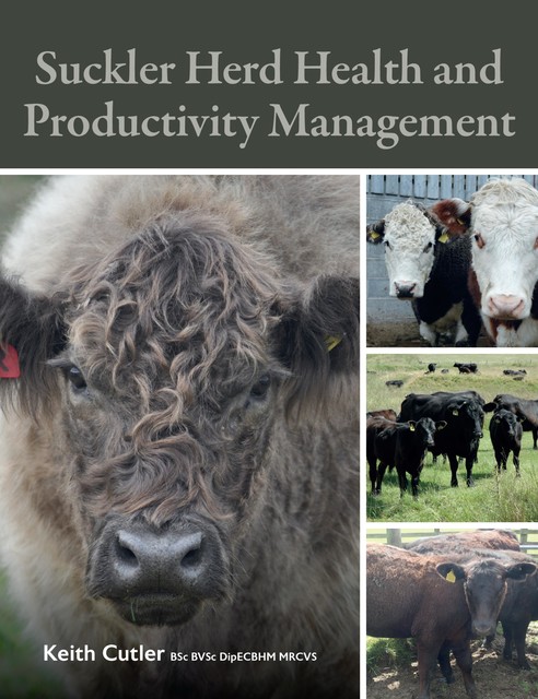 Suckler Herd Health and Productivity Management, Keith Cutler