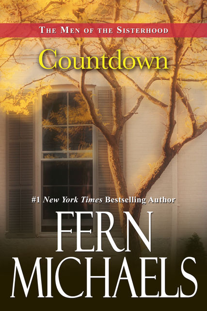 Countdown, Fern Michaels