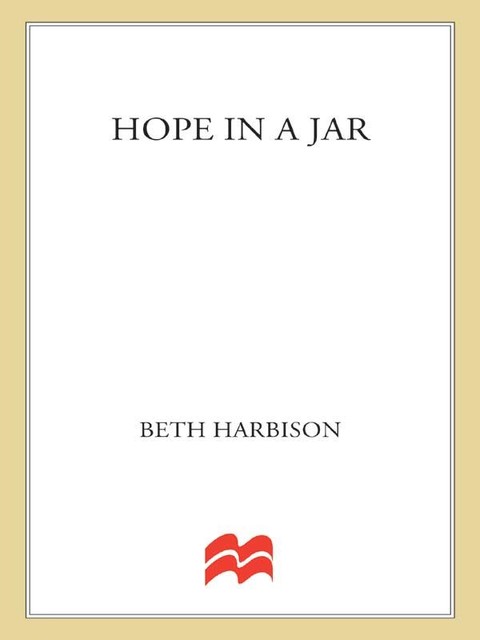 Hope in a Jar, Beth Harbison