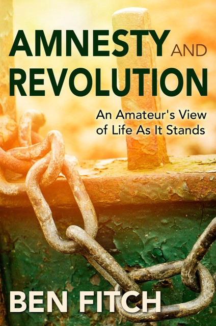 Amnesty and Revolution: An Amateur's View of Life As It Stands, Ben Fitch
