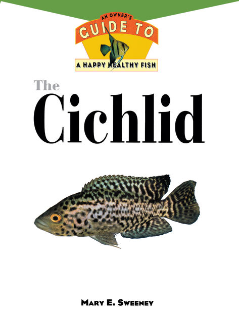 The Cichlid, Mary E.Sweeney